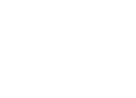 Plaza Foods